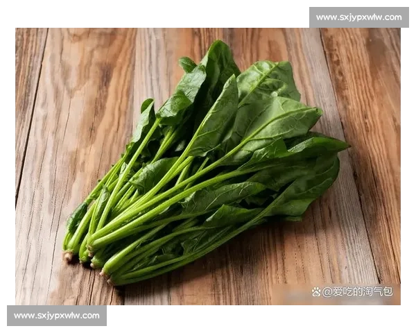 菠菜vs常见绿叶菜营养价值与健康功效全面对比解析科学解读指南