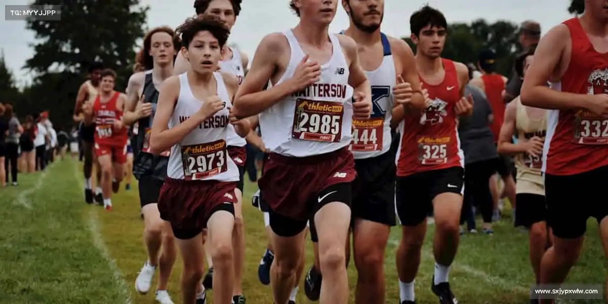 行业领先的理由